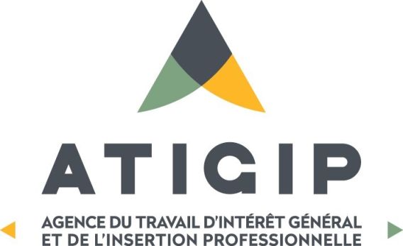 Logo TIG
